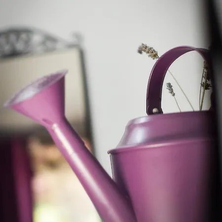 Le Fenil Aux Anes Vakantiehuis Walcourt