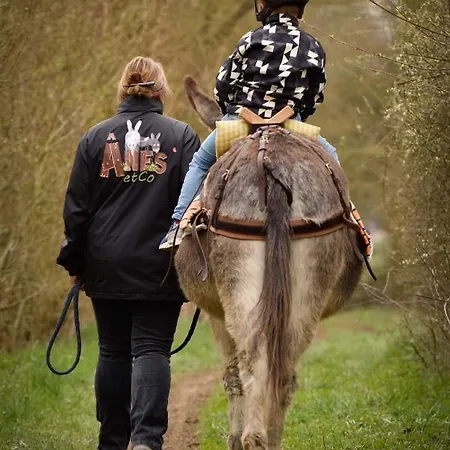 Le Fenil Aux Anes Vakantiehuis Walcourt