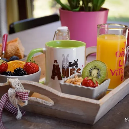 Holiday home Le Fenil Aux Anes *